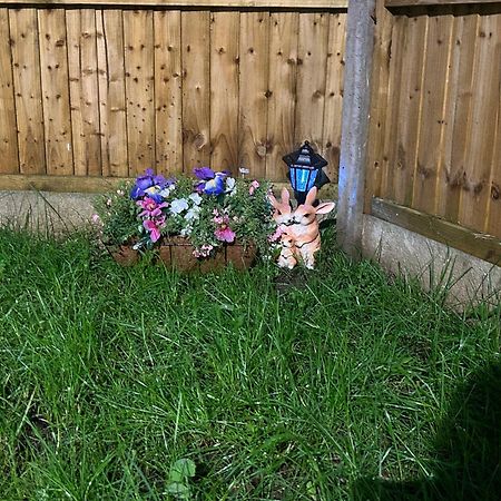 Comfortable Double Room & Single Room In Vibrant Hatfield Neighbourhood מראה חיצוני תמונה